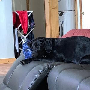 Meet your Posher, Nick